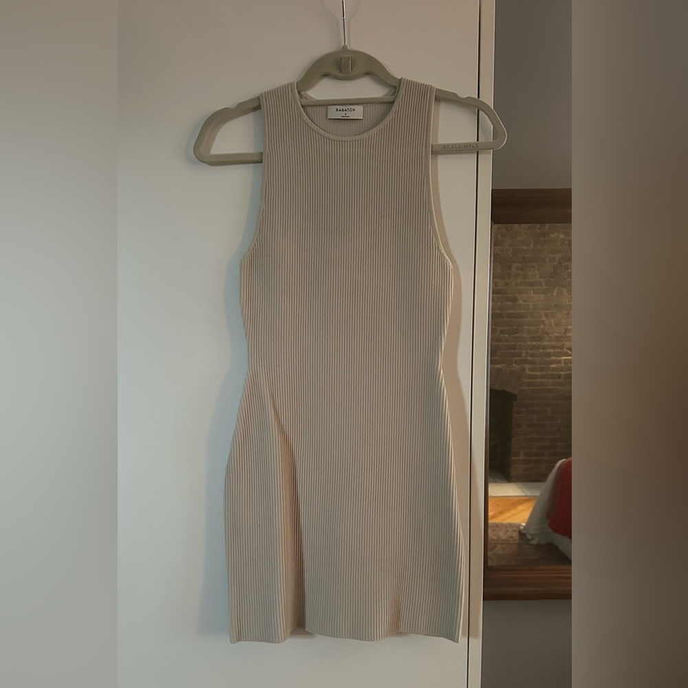 Aritzia Babaton Worn Once